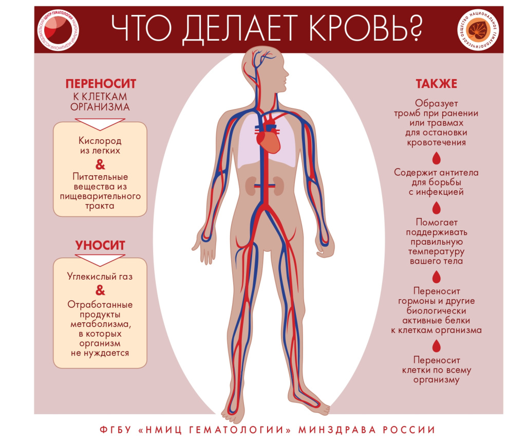 кровь 6.jpg