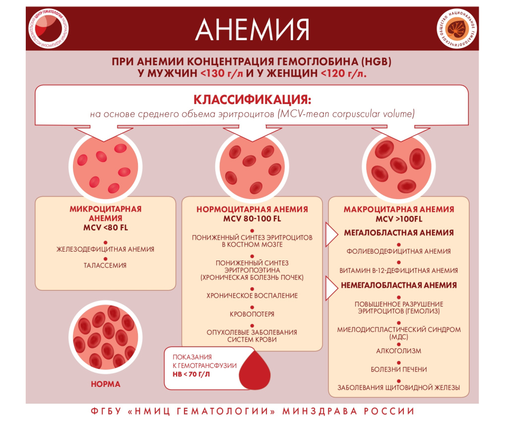 кровь 11.jpg