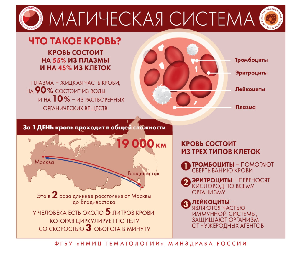 кровь 3.jpg